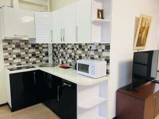 Апартаменты Apartment modern style Трускавец Апартаменты-19